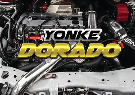 Yonke Dorado