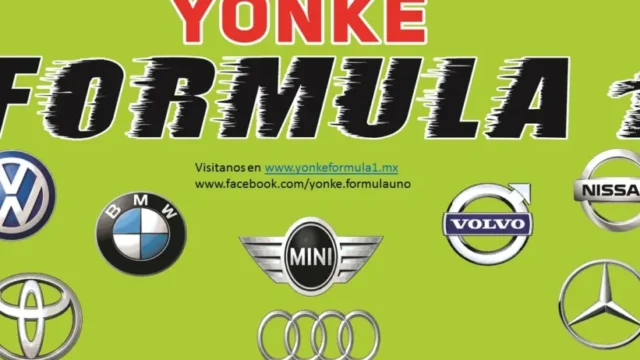Yonke Formula 1