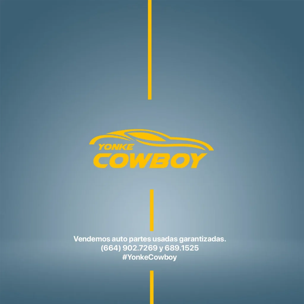 Yonke cowboy